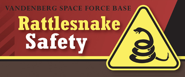 Snake Safety Graphic